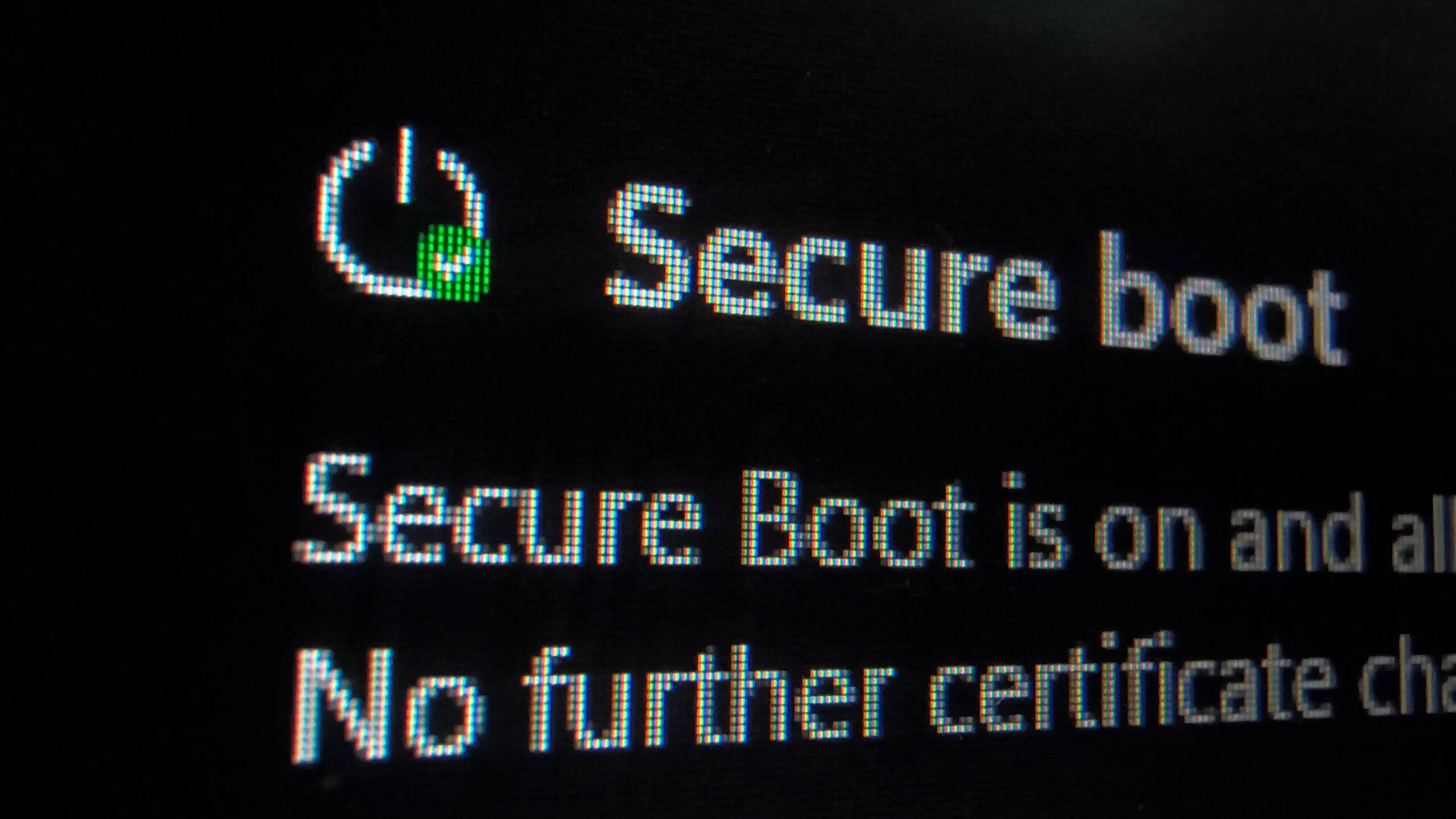 Secure Boot is active with green check mark