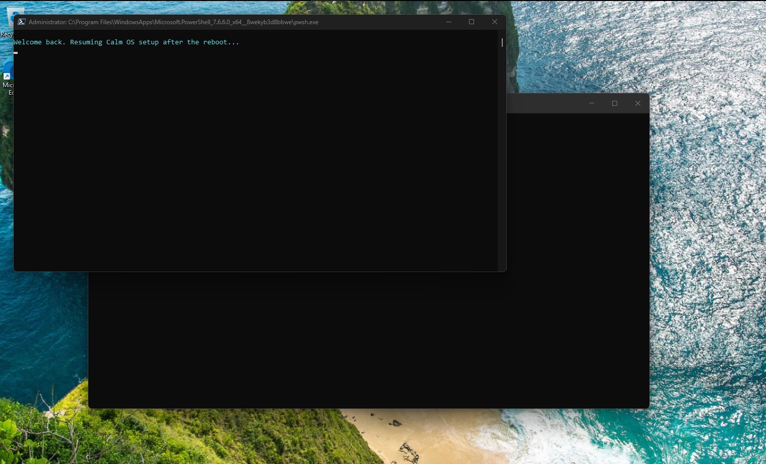 CalmOS setup resuming after reboot