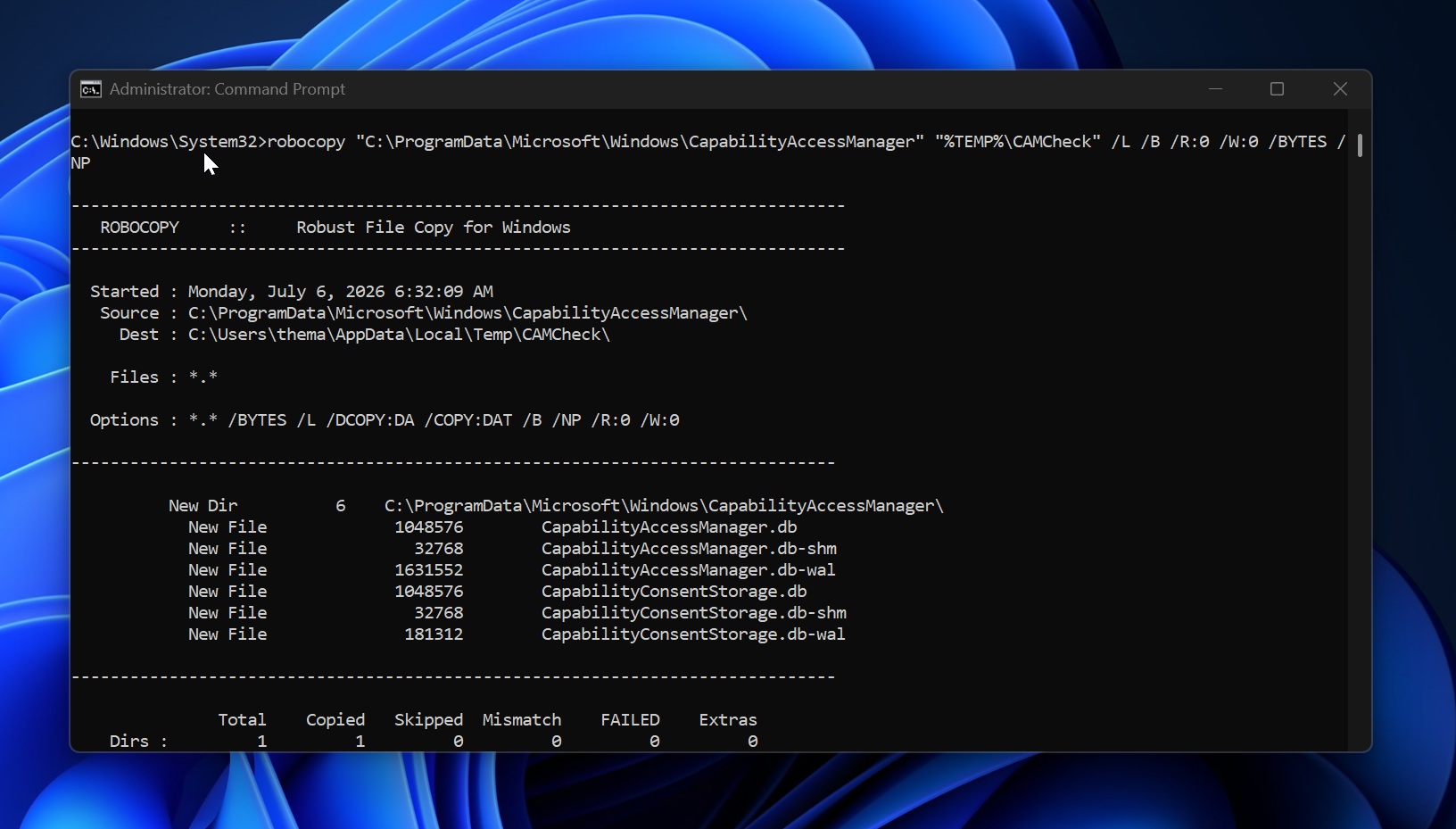 Utilizzo del file CapabilityAccessManager