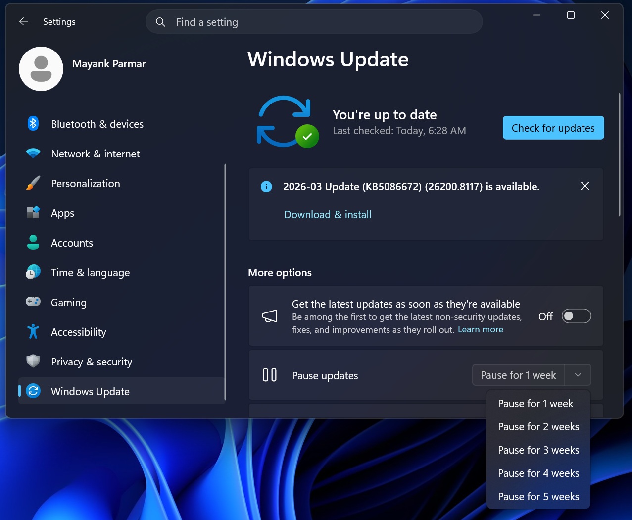 Windows 업데이트 일시 중지