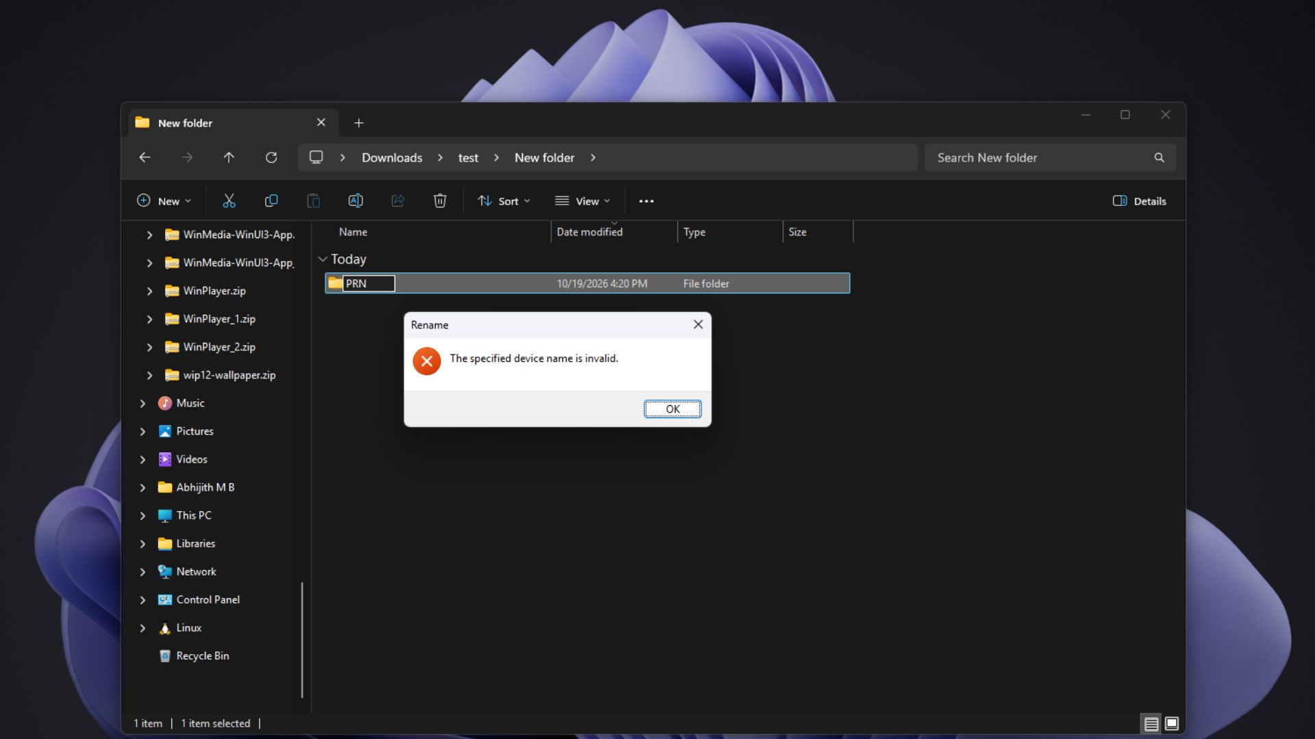Windows 11 refusing to rename a folder as PRN