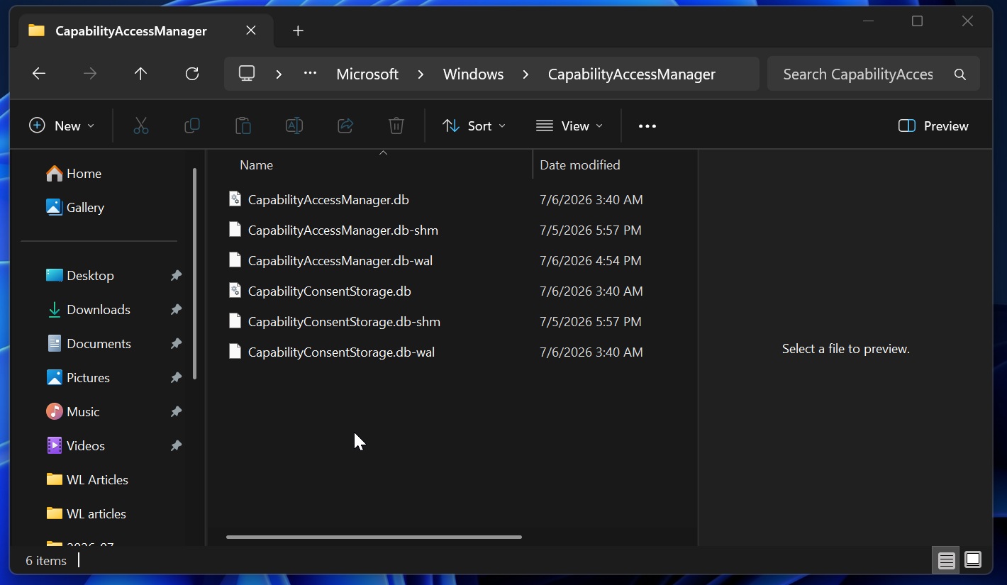 CapabilityAccessManager.db-wal