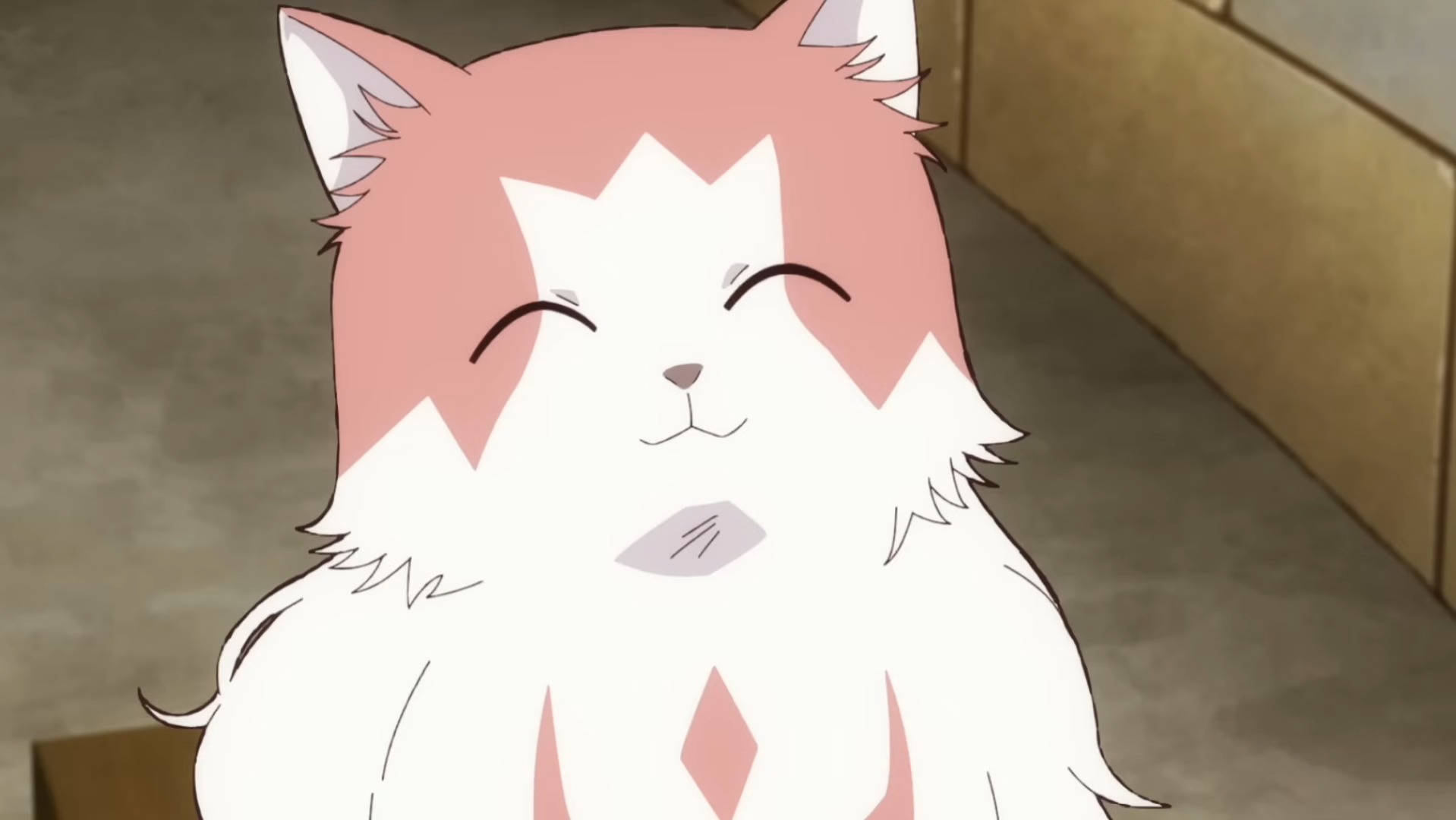 Unique New Fantasy Anime Features a Dragon Raised by Cats, Breaking the Isekai Mold