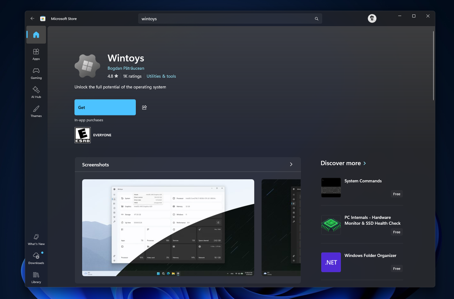 Wintoys v MS Store