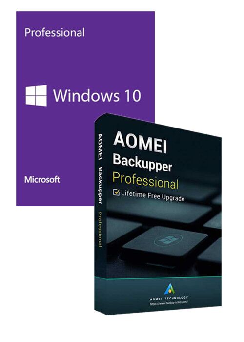 free instals AOMEI Backupper Professional 7.3.0