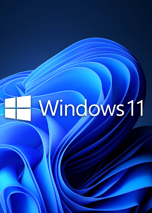 Microsoft Windows 11 Pro OEM CD-KEY GLOBAL