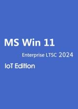 whokeys.com, MS Win 11 Enterprise LTSC 2024 IoT Edition CD Key Global
