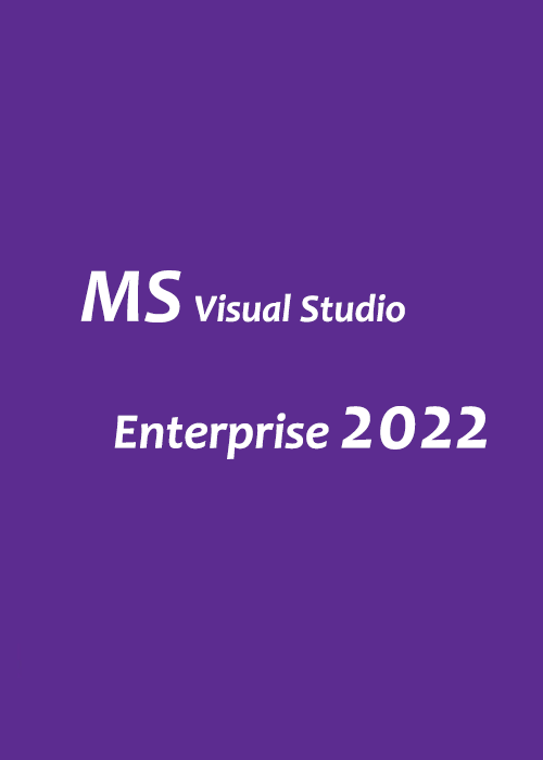 MS Visual Studio 2022 Enterprise Key Global, Whokeys Anniversary