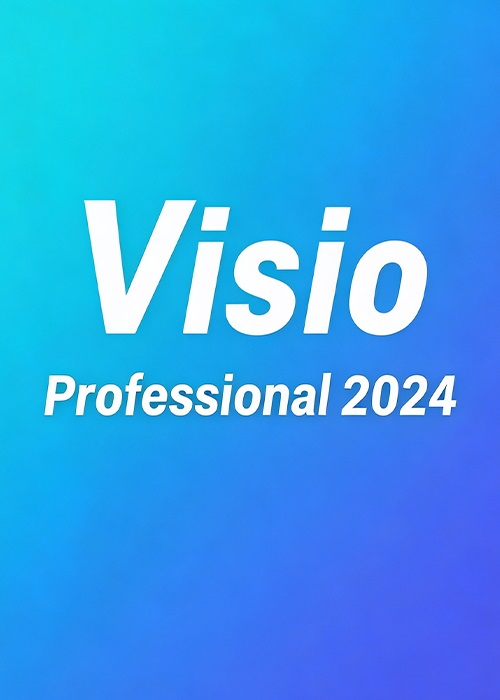 Visio Professional 2024 Key Global, Whokeys 